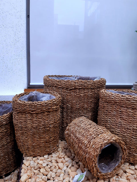 Cesta Bror Natural - M
