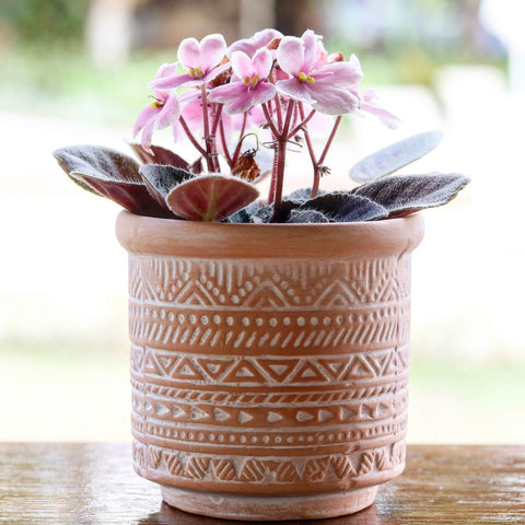 Vaso terracota