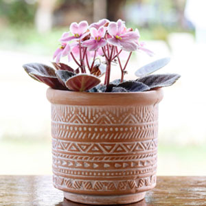 vaso terracota