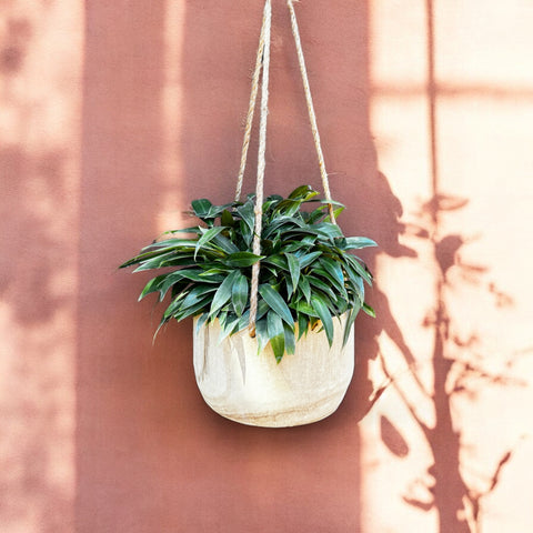 Pin cushion + cachepot madeira