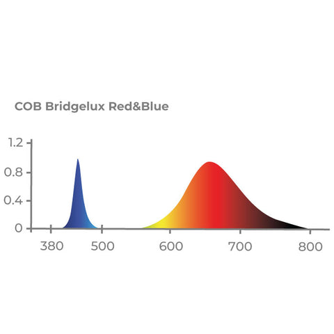 Painel COB LED 100w - Red & Blue