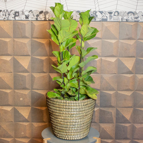 Cesta Jula - Natural com Preto