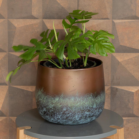 Cachepot Elisa - Mystic Bronze