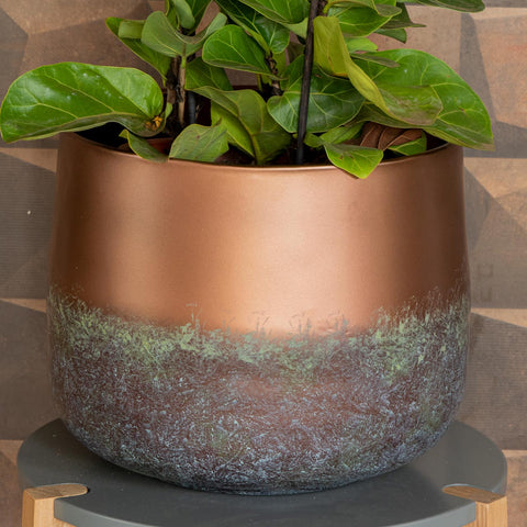 Cachepot Elisa - Mystic Bronze