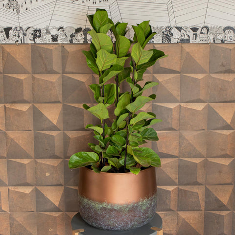 Cachepot Elisa - Mystic Bronze