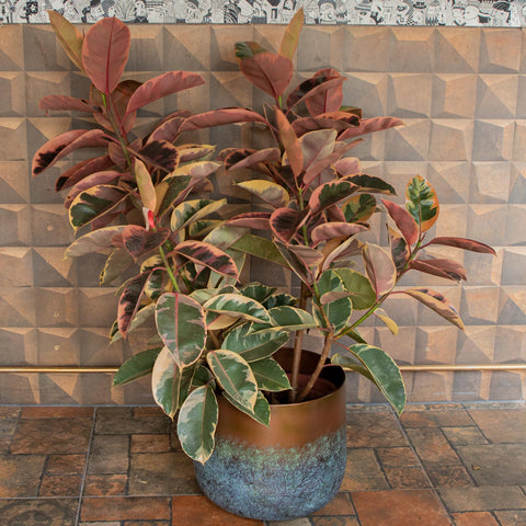 Cachepot Elisa - Mystic Bronze