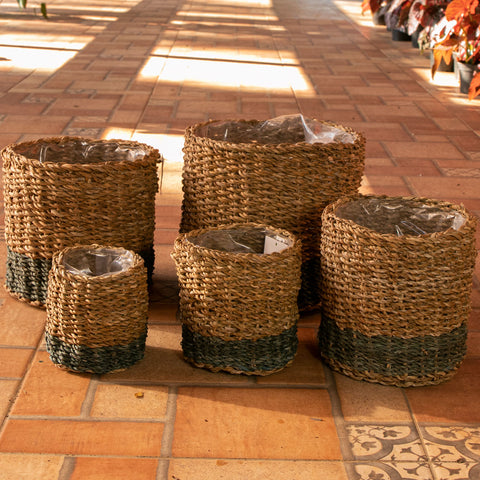 Cesta Ido