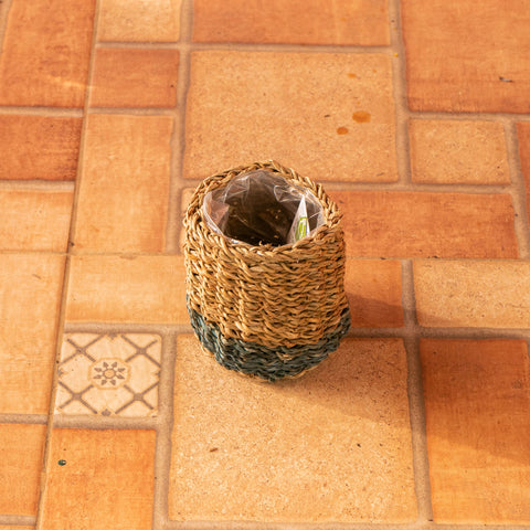 Cesta Ido