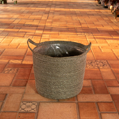 Cesta Nelis
