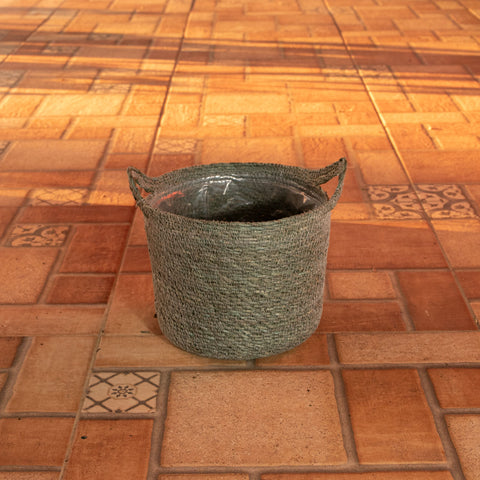 Cesta Nelis