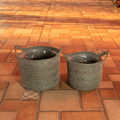 Cesta Nelis