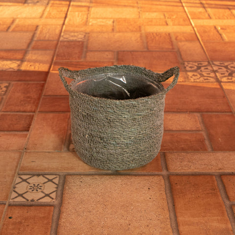 Cesta Nelis