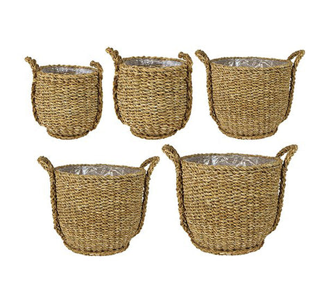 Cesta Ray