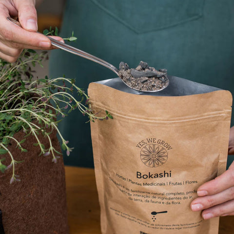 Bokashi Sólido