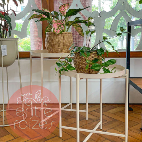Conjunto com mesa lateral