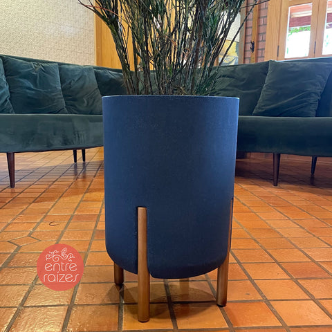 Cróton Picasso + vaso decore azul marinho