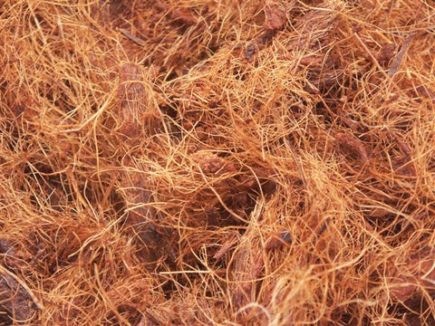 Matéria Prima Fibra De Coco - 3