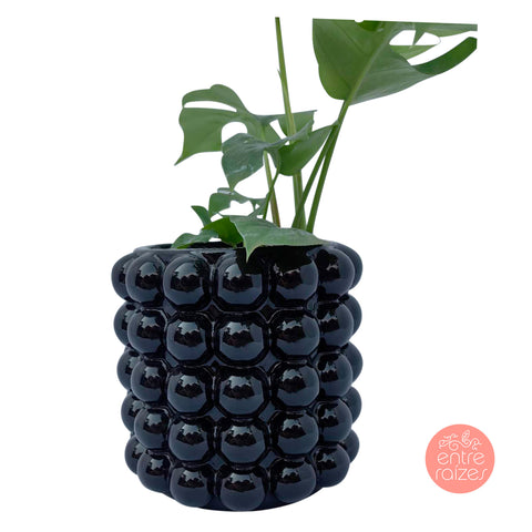 Mini monstera + cachepot bolhas