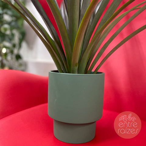 Mini abacaxi ornamental + cachepot frisado