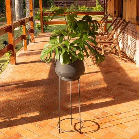 Monstera deliciosa + Vaso Marcelo Rosenbaum com tripé preto