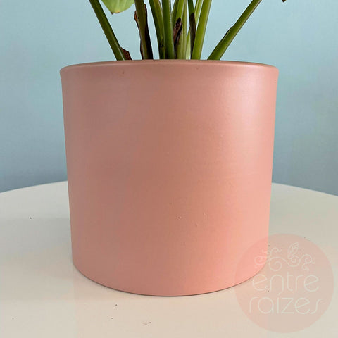 Calathea orbifolia + cachepot em metal