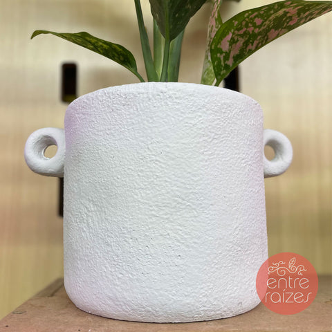 Aglaonema red + cachepot em cimento