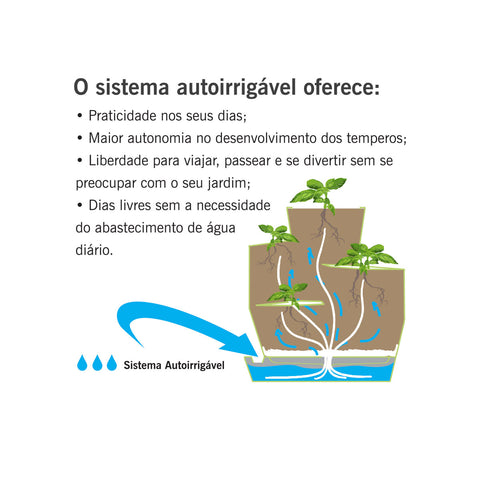 Horta auto irrigável - com 5 ervas