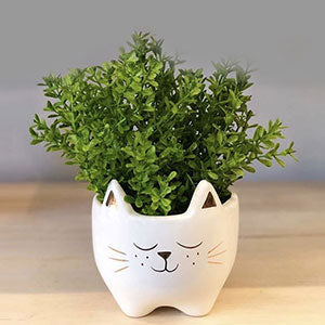 Vasos Cachepots Cachepot Gato - 1