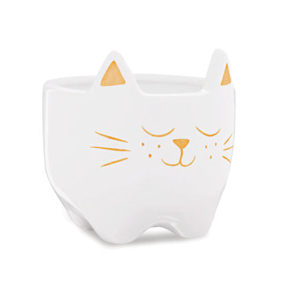 Vasos Cachepots Cachepot Gato - 2