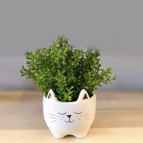 Vasos Cachepots Cachepot Gato - 3