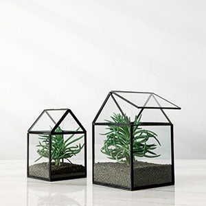 Vasos Cachepots Terrario Casa - 1