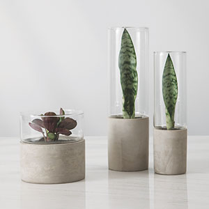 Vasos Cachepots Vaso Vidro e Cimento Achatado - 1