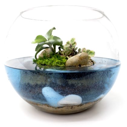 Vasos Cachepots Vidro Aquario - 2