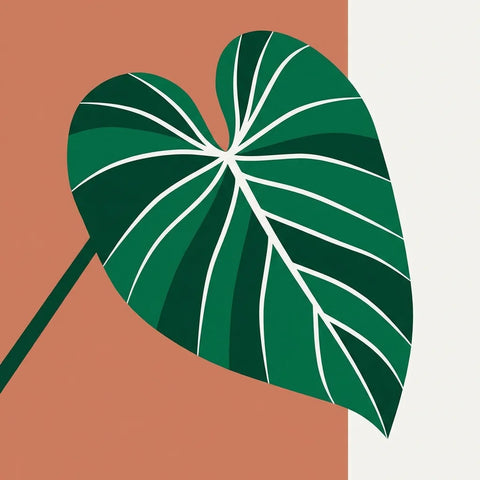 Alocasia: O Mistério da Dormência e como não desistir do bulbo