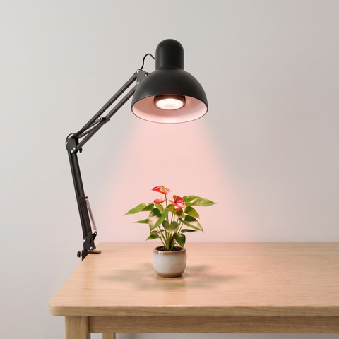 Lâmpada LED Full Spectrum - Linha Dossel — Para Monstera, Filodendro, Orquídeas e Suculentas