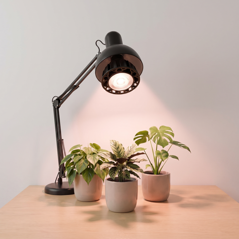 Lâmpada LED Full Spectrum - Linha Dossel — Para Monstera, Filodendro, Orquídeas e Suculentas