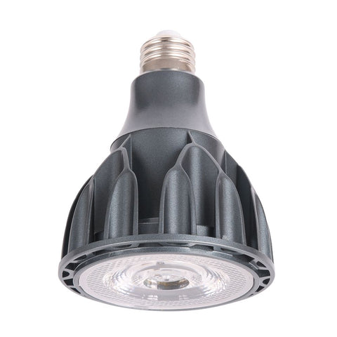 Led bulbo lotus | Entre Raízes Botânica - Detalhe 9