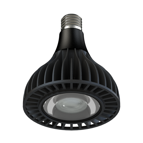 Led bulbo lotus | Entre Raízes Botânica - Detalhe 10