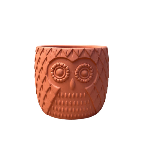 Cachepot Coruja