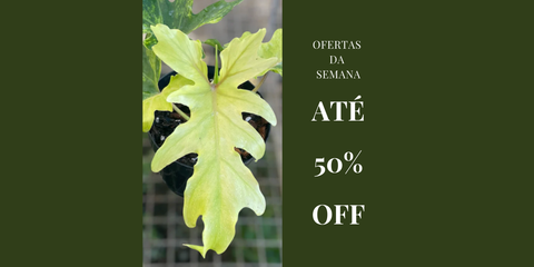 OFERTAS DA SEMANA