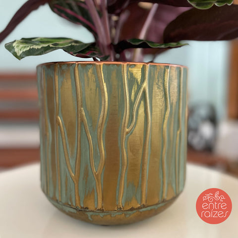 Calathea roseopicta ‘illustris’ + vaso cobre